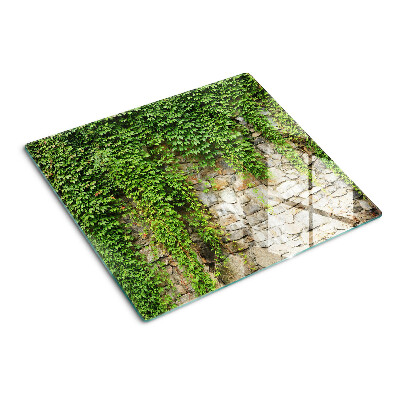 Planche à découper en verre Mur végétalisé avec de la mousse
