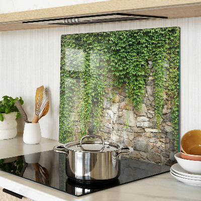 Planche à découper en verre Mur végétalisé avec de la mousse