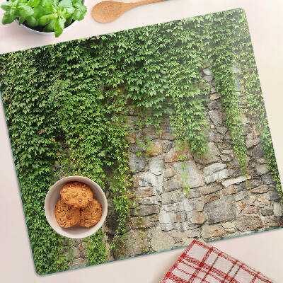 Planche à découper en verre Mur végétalisé avec de la mousse