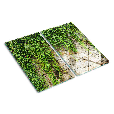 Planche à découper en verre Mur végétalisé avec de la mousse