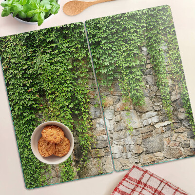 Planche à découper en verre Mur végétalisé avec de la mousse