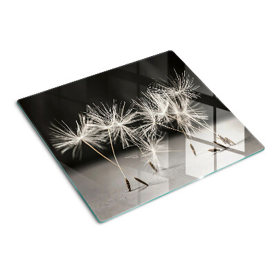 Planche à découper en verre Pissenlits duveteux sur un fond monochrome