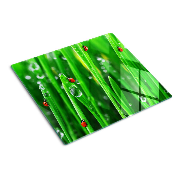 Planche à découper en verre Gouttes d'eau sur l'herbe avec des coccinelles