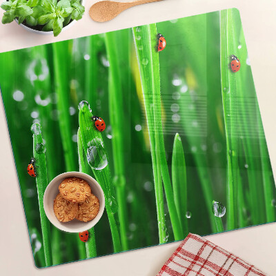Planche à découper en verre Gouttes d'eau sur l'herbe avec des coccinelles