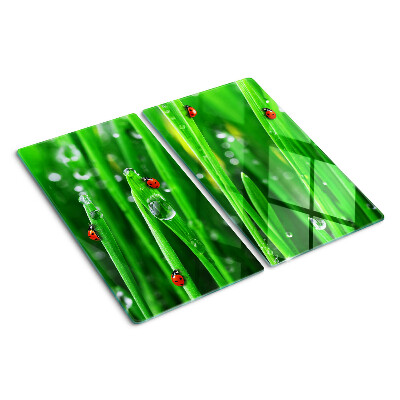 Planche à découper en verre Gouttes d'eau sur l'herbe avec des coccinelles