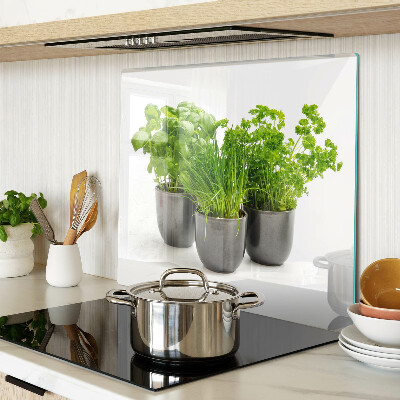 Planche à découper en verre Herbes en pots