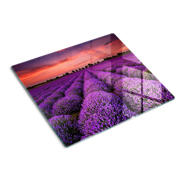 Planche à découper verre Champ de lavande au coucher du soleil