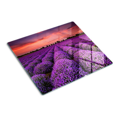 Planche à découper verre Champ de lavande au coucher du soleil