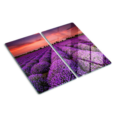 Planche à découper verre Champ de lavande au coucher du soleil