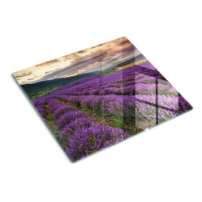 Planche à découper verre Champ de lavande au coucher du soleil