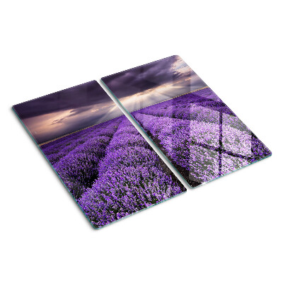 Planche à découper verre Champ de lavande avec coucher de soleil