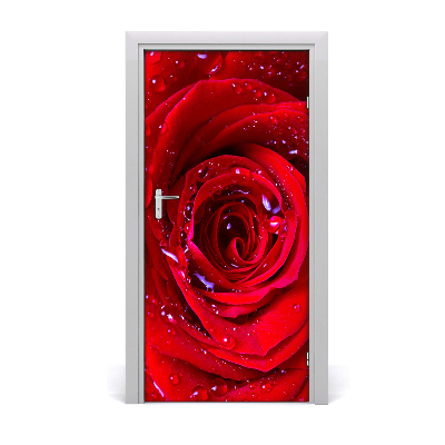 Sticker de porte Rose rouge