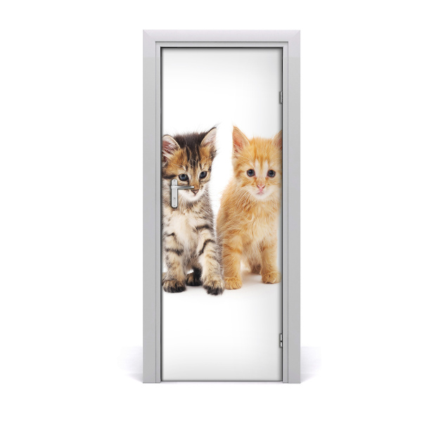 Sticker porte Gris et chat rouge