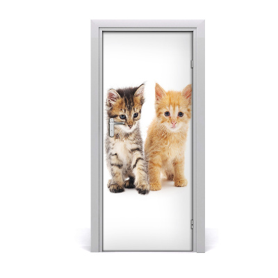 Sticker porte Gris et chat rouge