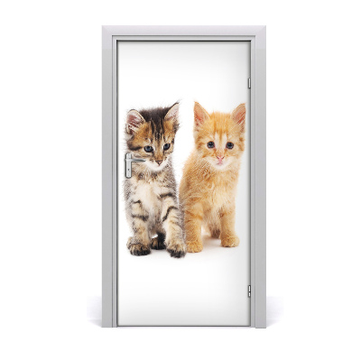 Sticker porte Gris et chat rouge