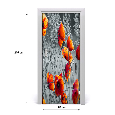 Sticker de porte Coquelicots fleurs sauvages