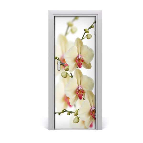 Sticker de porte Orchidée