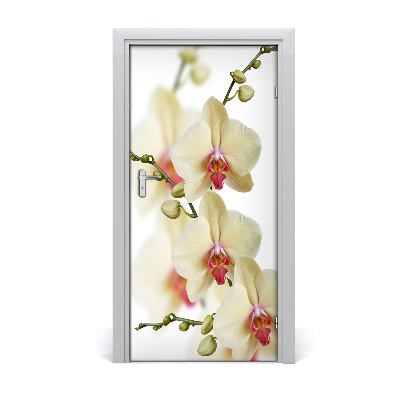 Sticker de porte Orchidée