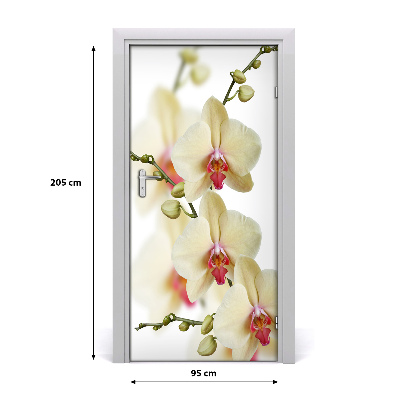 Sticker de porte Orchidée