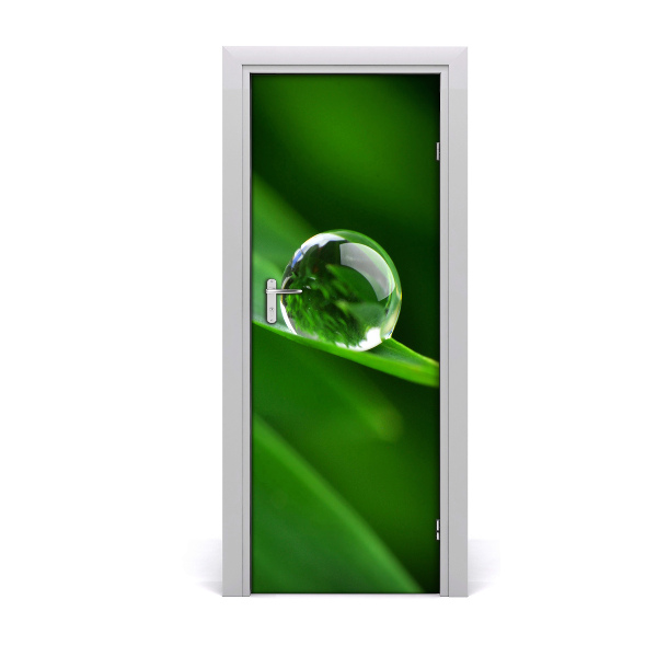 Sticker de porte Brin d'herbe