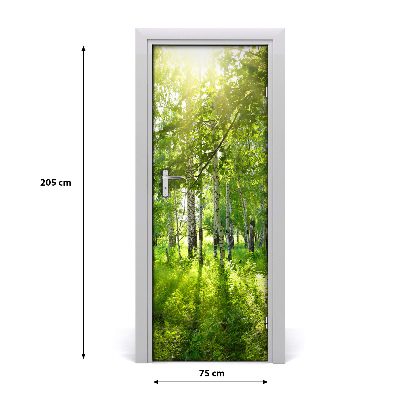 Poster de porte - Forêt - Nature - Vert - Sticker de porte - Porte Papier  peint photo