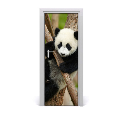 Sticker porte Panda dans un arbre