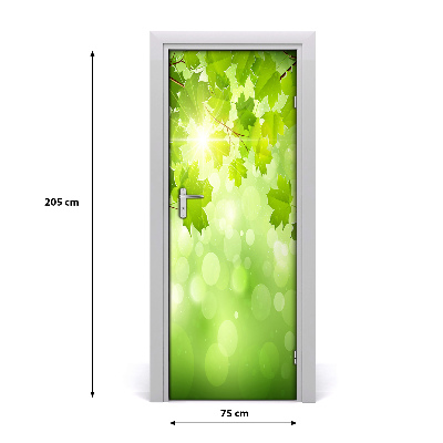 Sticker de porte Feuilles vertes