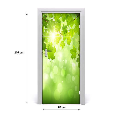 Sticker de porte Feuilles vertes