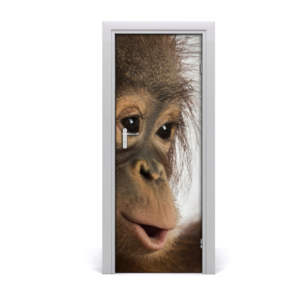 Sticker porte Jeunes orangs-outans