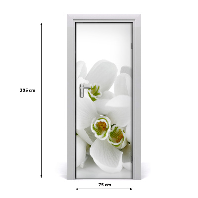Sticker de porte Snowdrops blanc