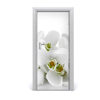 Sticker de porte Snowdrops blanc