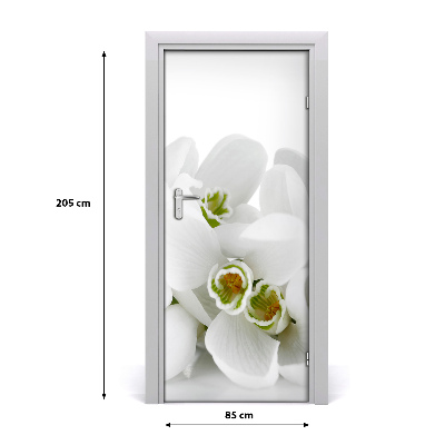 Sticker de porte Snowdrops blanc