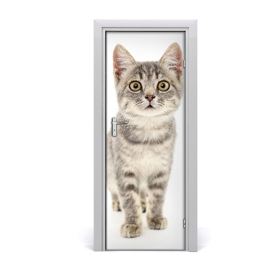 Sticker porte Chat gris