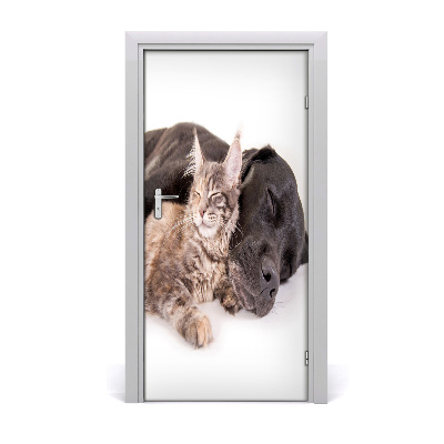 Sticker porte Chien et chat