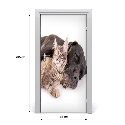 Sticker porte Chien et chat