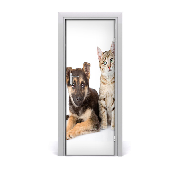 Sticker porte Chien et chat