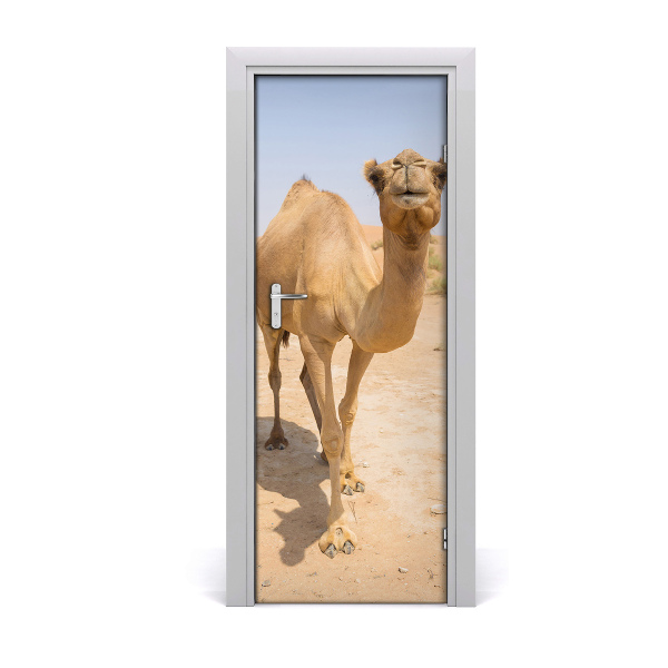 Sticker porte Chameau dans le désert