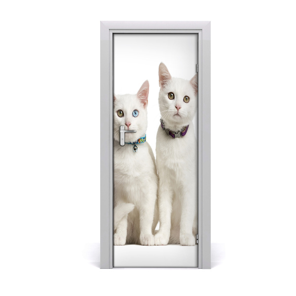 Sticker porte Deux chats blancs