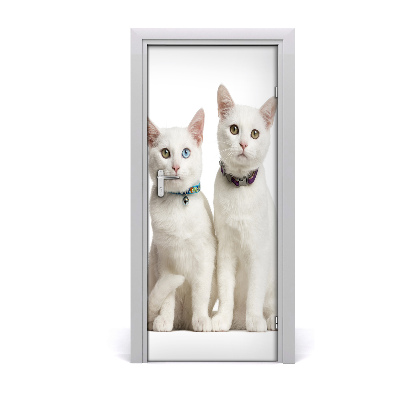 Sticker porte Deux chats blancs