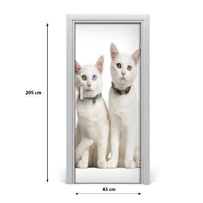 Sticker porte Deux chats blancs