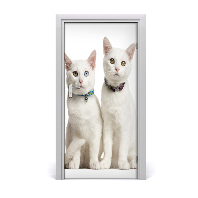 Sticker porte Deux chats blancs