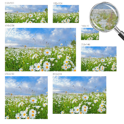 Papier peint panoramique intissé avec le motif « Letná lúka »