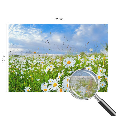 Papier peint panoramique intissé avec le motif « Letná lúka »