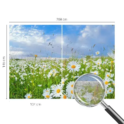 Papier peint photo grand format pour le mur prairie d'été
