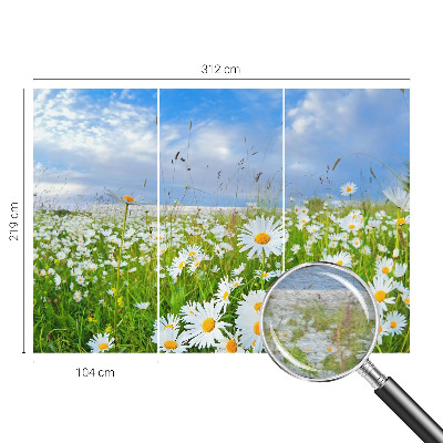 Papier peint panoramique intissé avec le motif « Letná lúka »