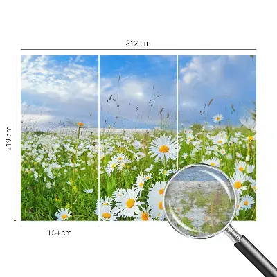Papier peint photo grand format pour le mur prairie d'été