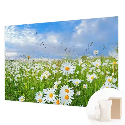 Papier peint photo grand format pour le mur prairie d'été