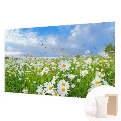 Papier peint photo grand format pour le mur prairie d'été