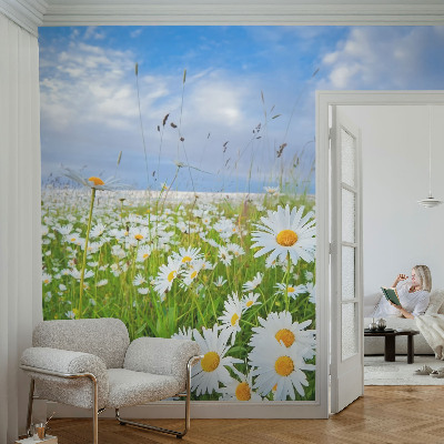Papier peint panoramique intissé avec le motif « Letná lúka »