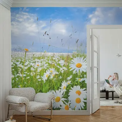 Papier peint photo grand format pour le mur prairie d'été